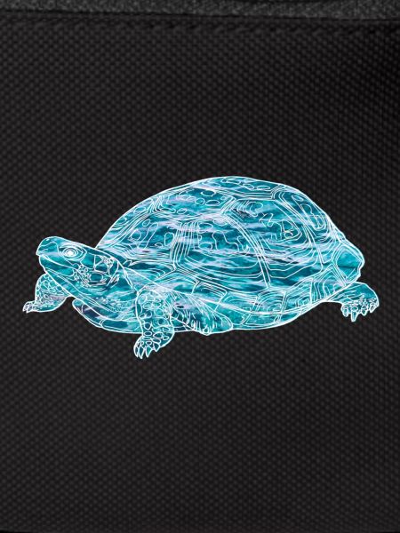 turtle, toad, animals, nature