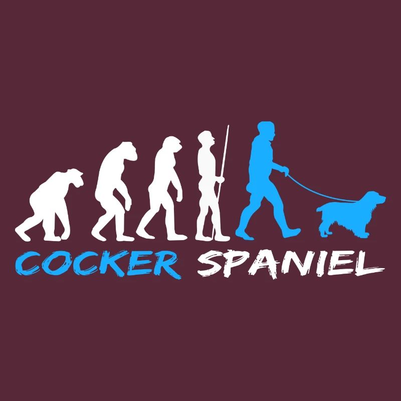 Cocker anglais Cocker Spaniel Chien Evolution