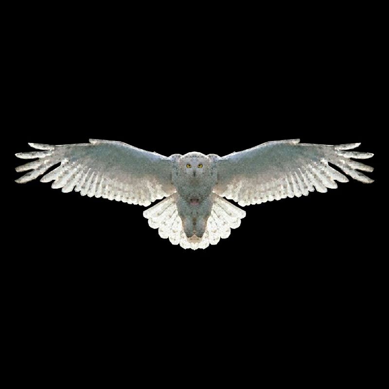 Schneeeule Eule Polygon Vogel Tier Wildtier Uhu
