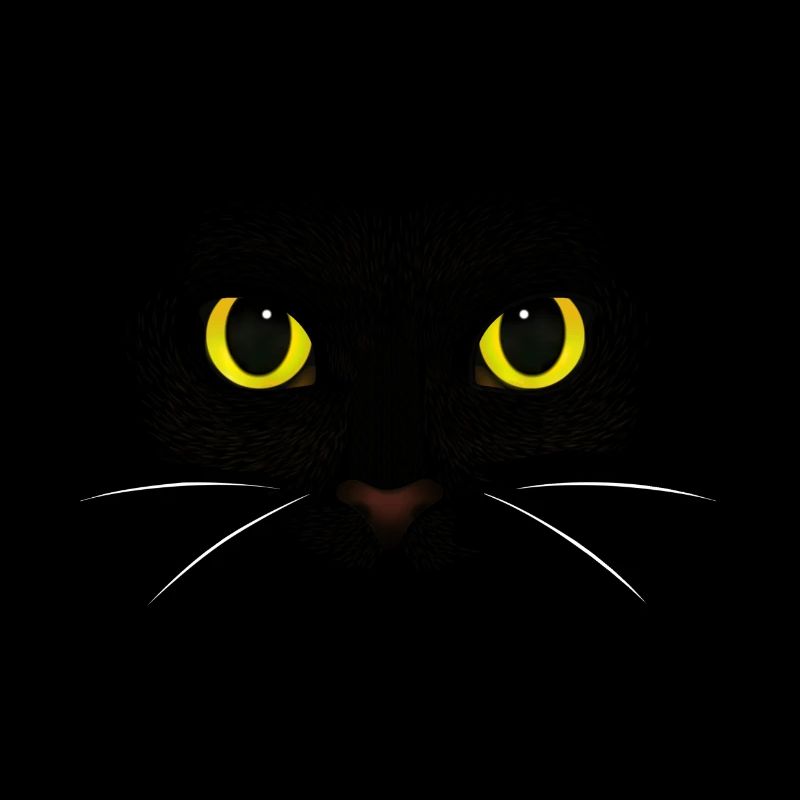 Schwarze Katze - Katzenrasse