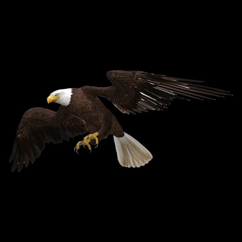 Adler