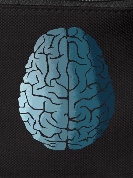 Brain course