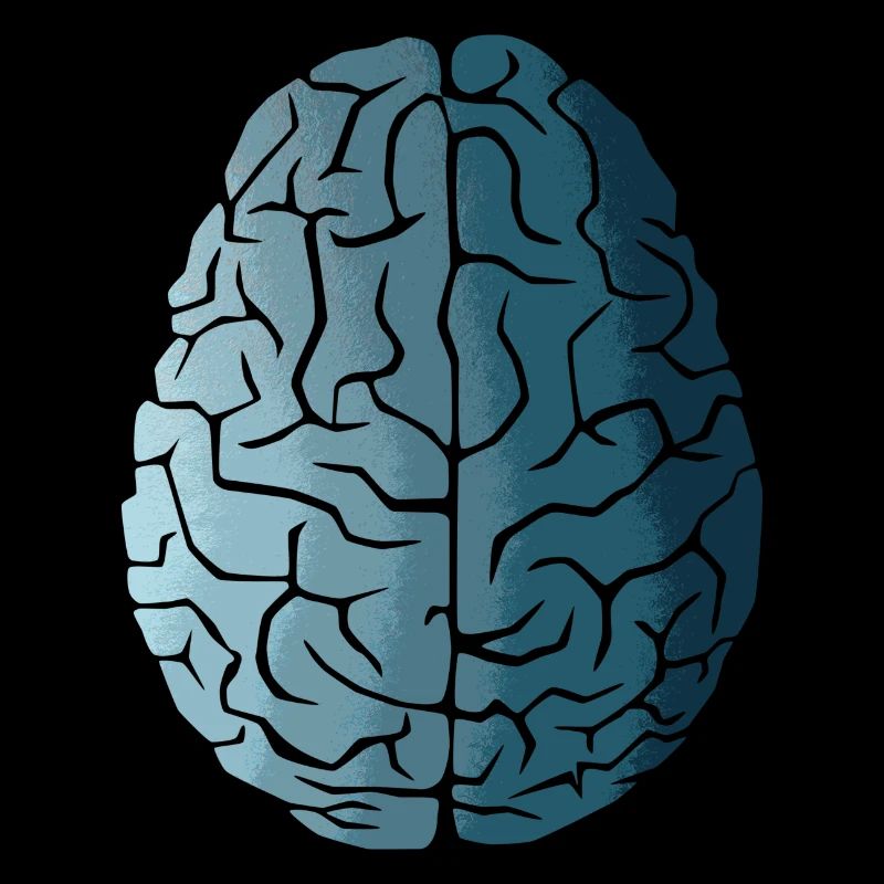 Évolution du cerveau