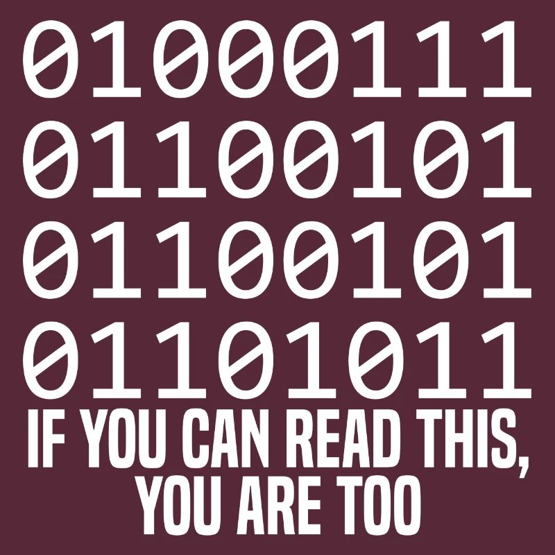 Programmer Coder Software Developer