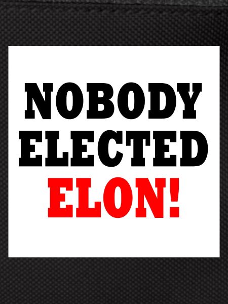 nobody elected elon