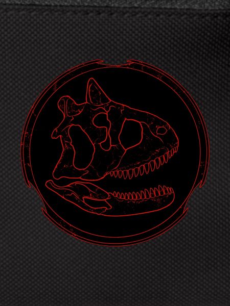 Carnotaurus fossil skull