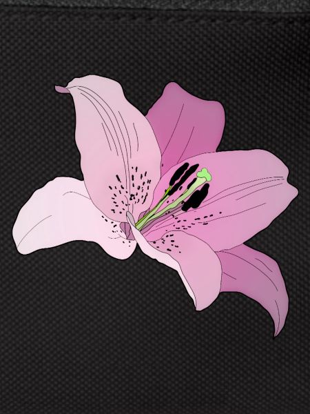 Orchidée rose