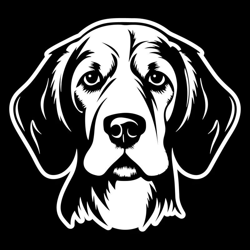 Beagle Hund Kopf