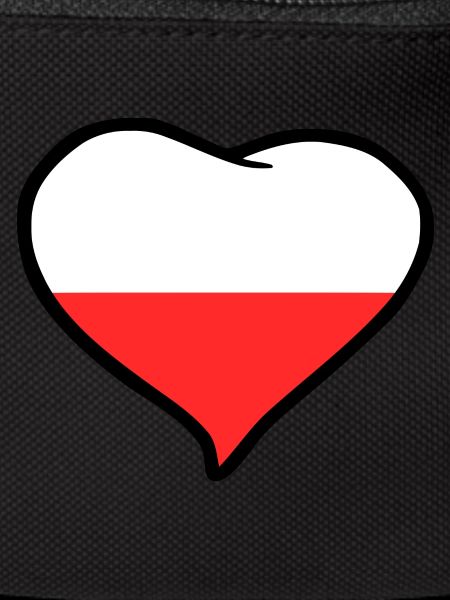 Drapeau Pologne