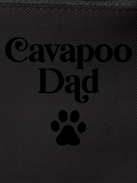 Cavapoo Dad