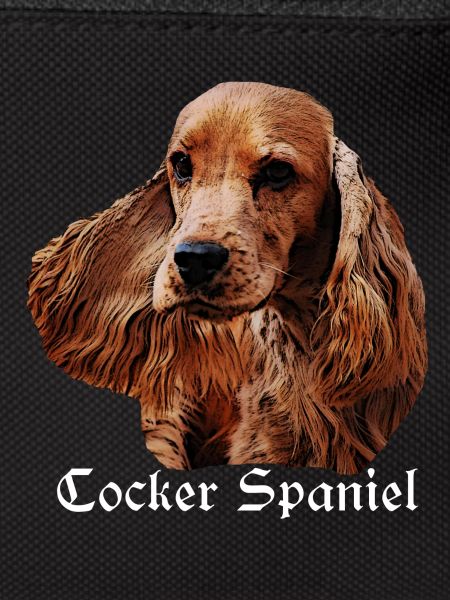 Cocker Spaniel,Spaniel,Dog Head,Pedigree Dog,