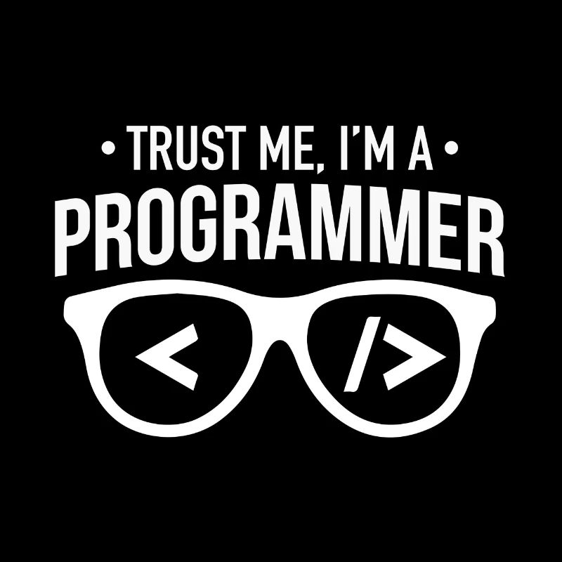 trust me i am a programmer