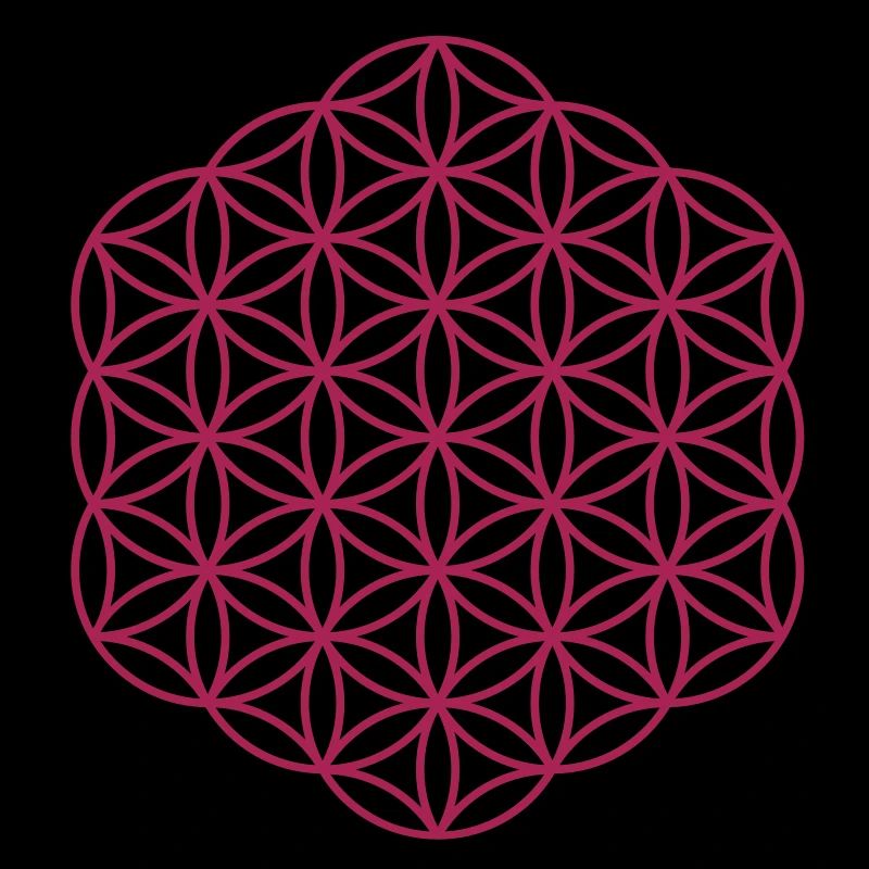 Fleur de la vie - Hexagon
