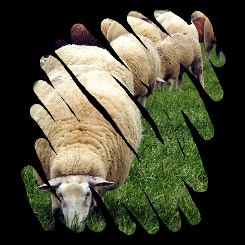 The most environmentally friendly lawnmower