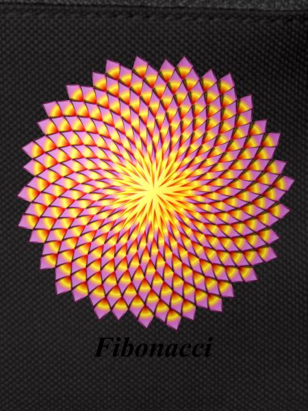 Fibonacci flower