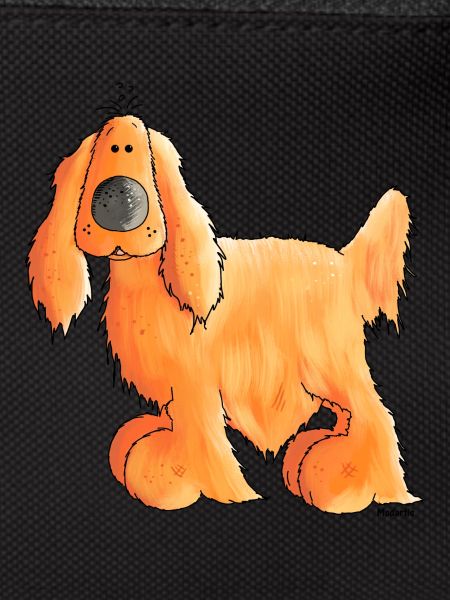 Cocker Spaniel Anglais - Chien