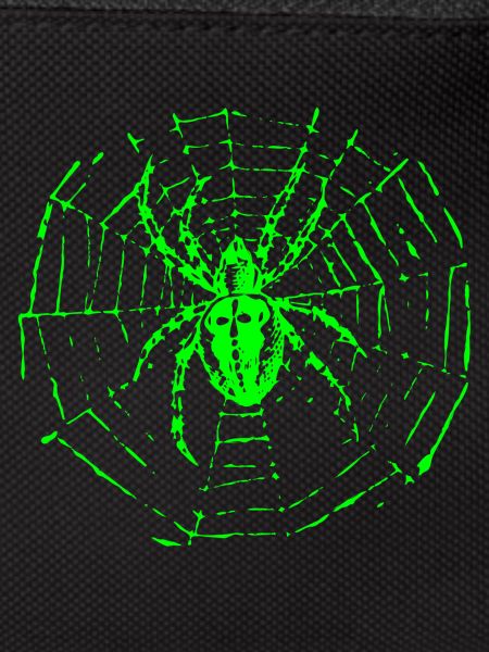 Garden spider
