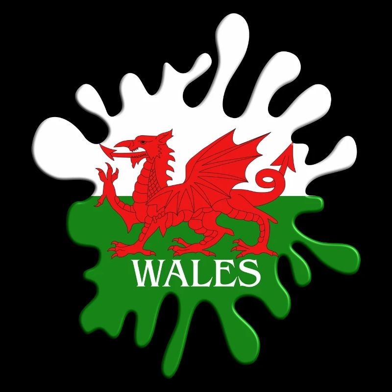 Welsh Flag