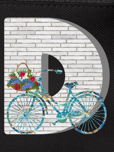 bicycle e 100 d