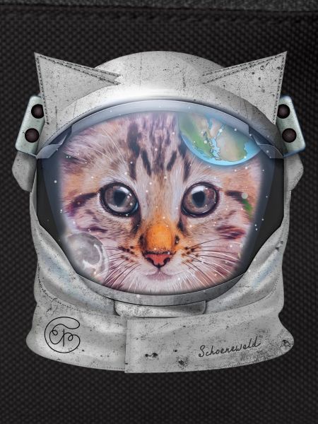 Chat dans l’espace