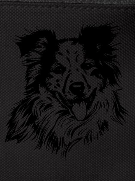 Aussie Australian Shepherd