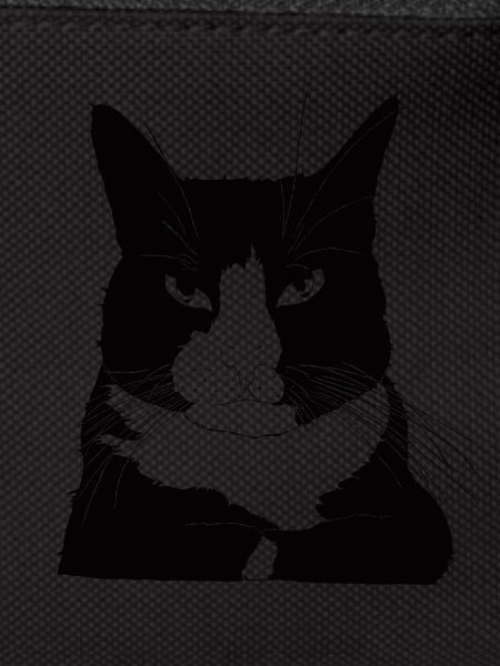 Cat bossy