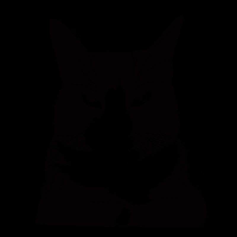 Chat autoritaire