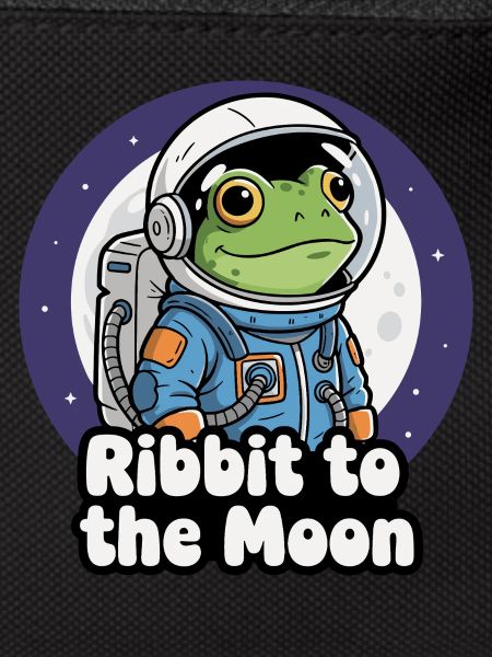 Frog Astronaut Moon Flight