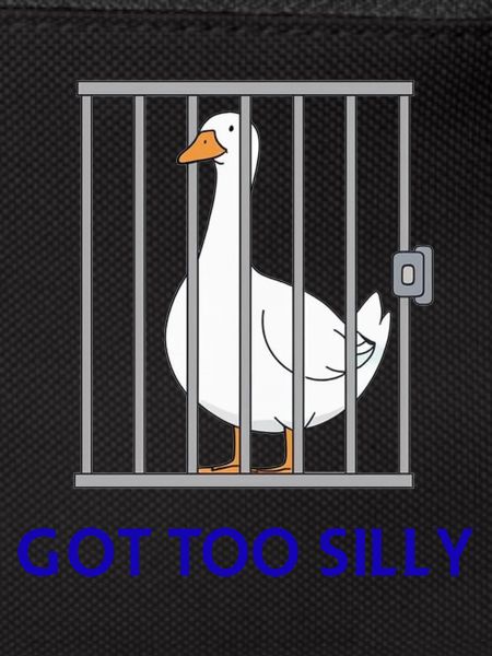 Goose – Got Too Silly