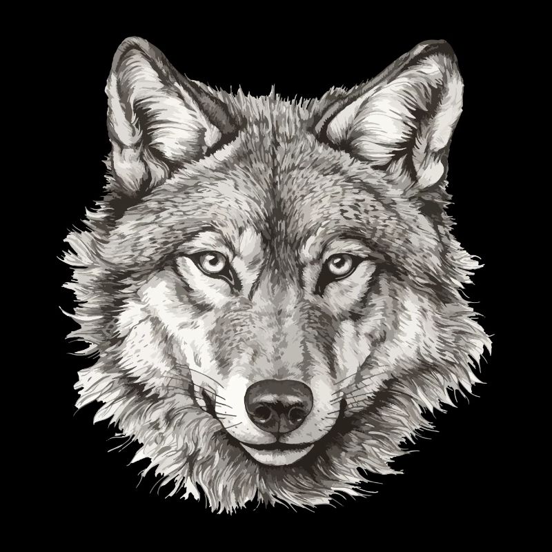Wolf Wolf Head Black & White Drawn Art