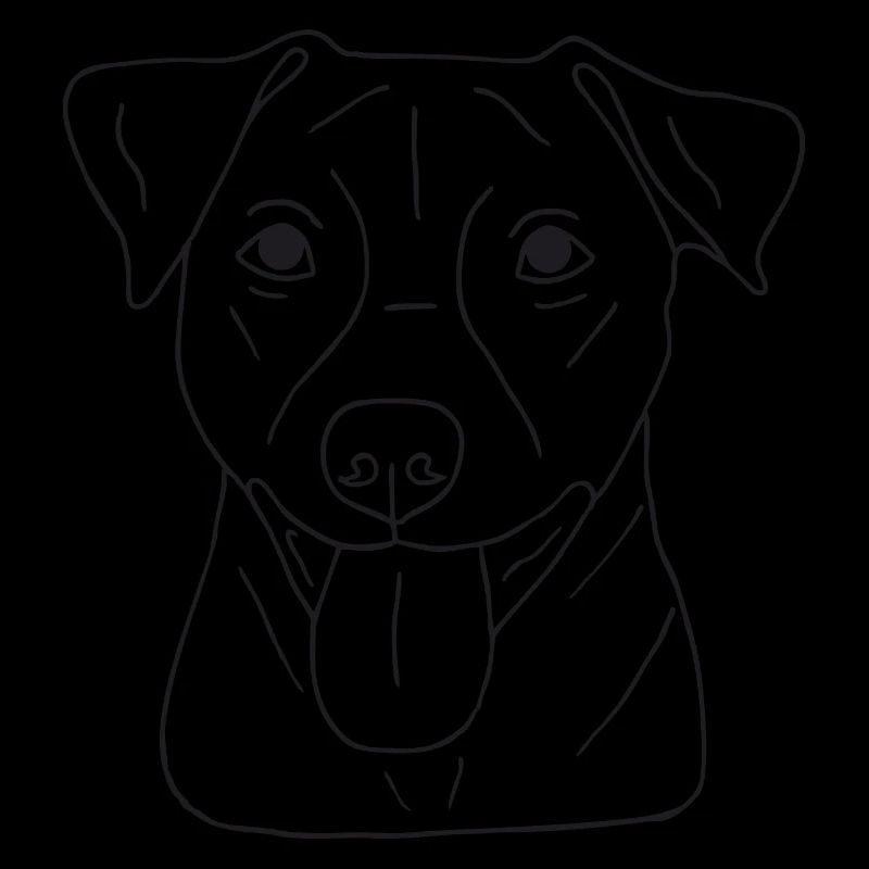 Jack Russell Terrier