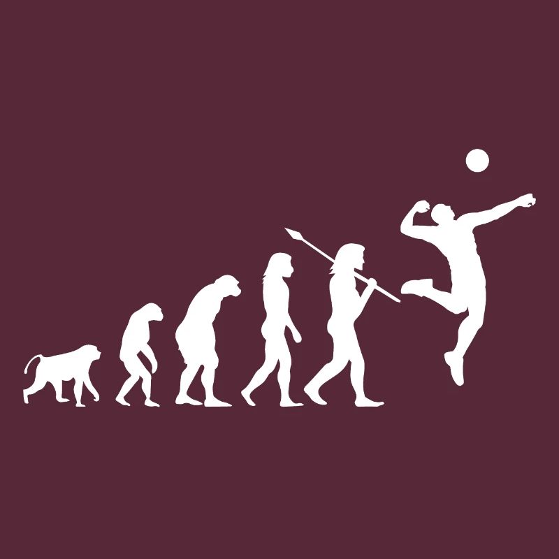 Volleyball Evolution