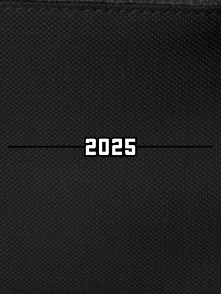 2025 year