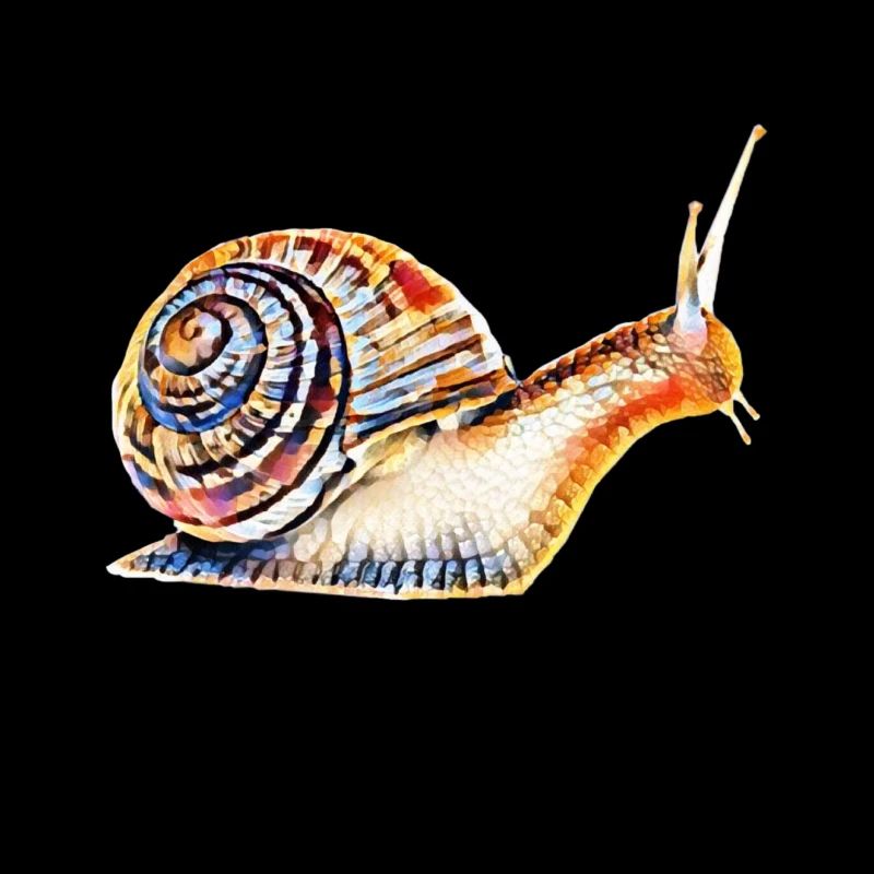 Schnecke