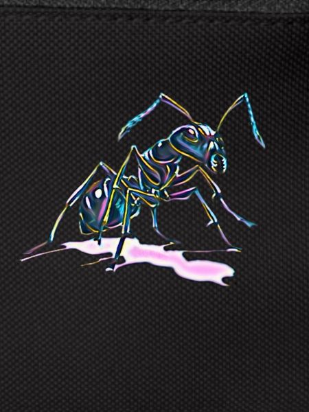 ant