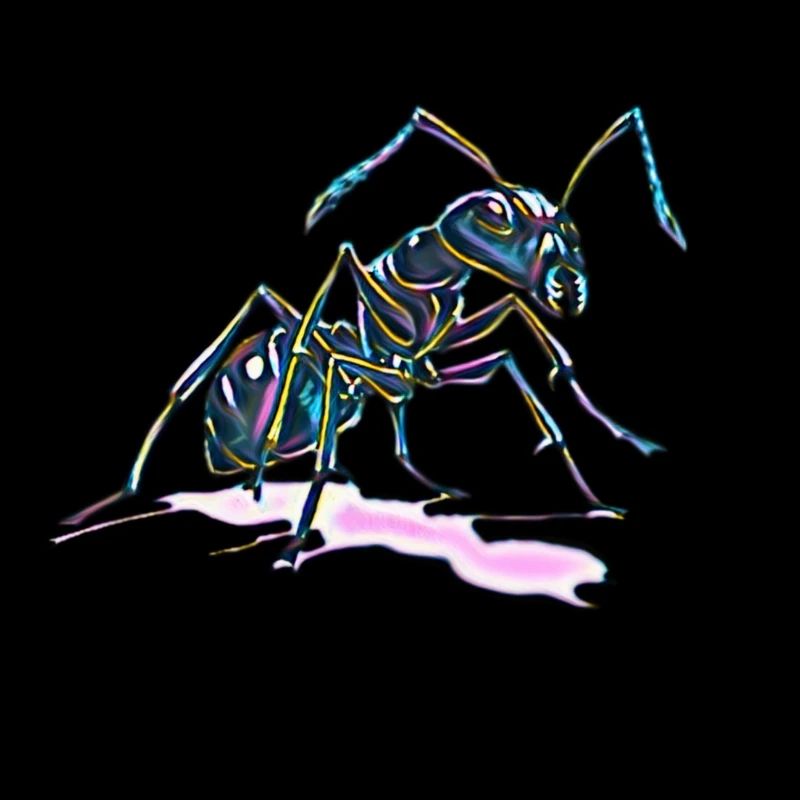 ant
