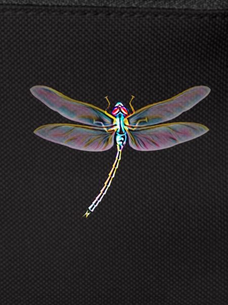 libellule
