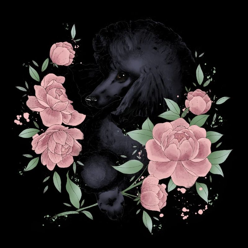 caniche noir