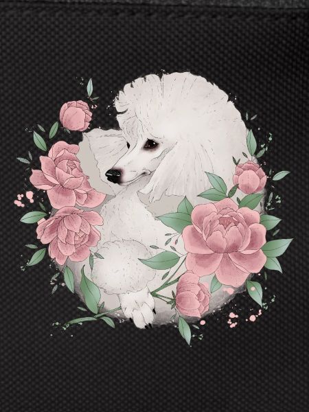 white poodle