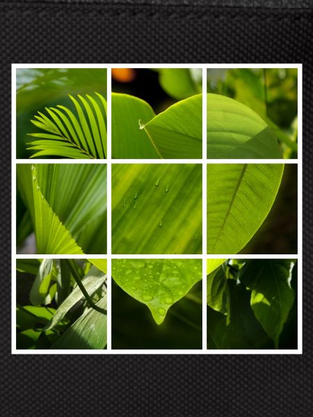 Green Heart