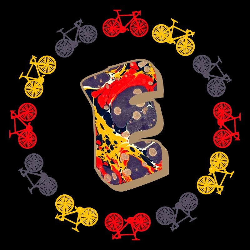 Bicycle E 202 E