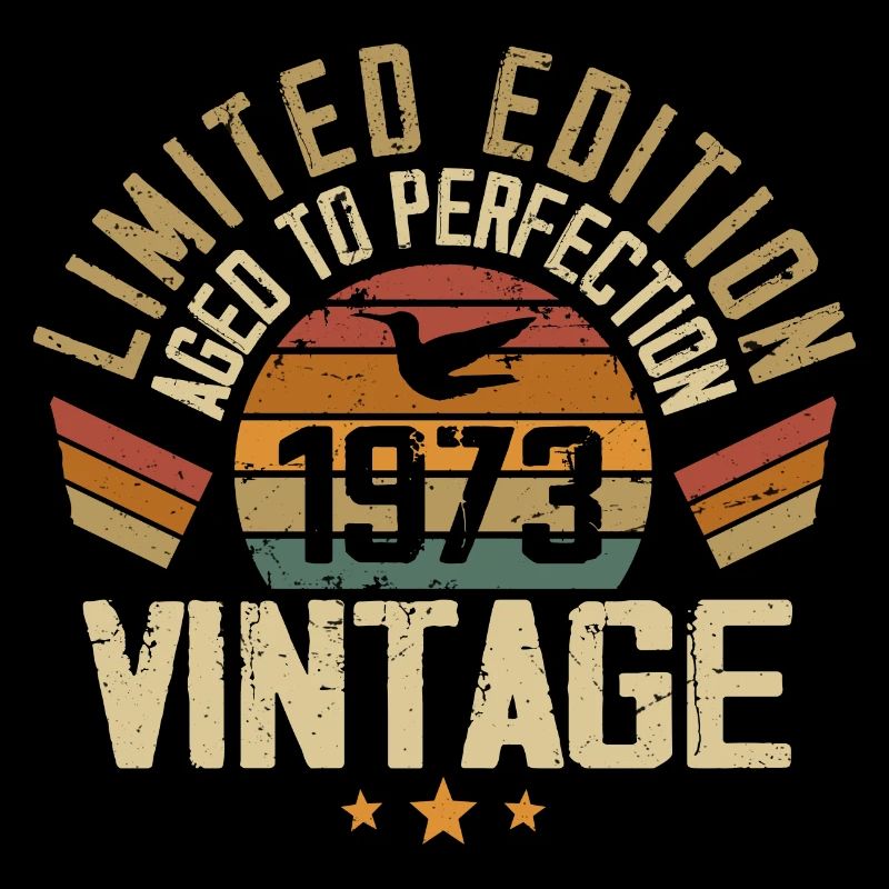 Vintage 1973 Retro 1973 Birthday Gift