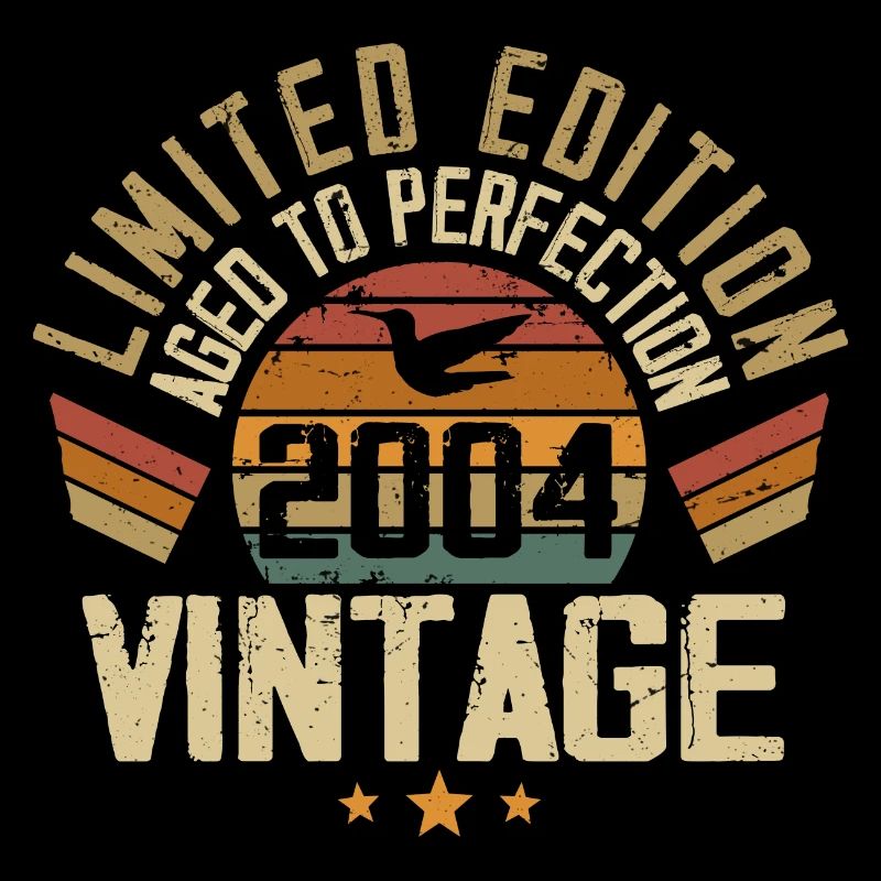 Vintage 2004 Retro 2004 Birthday Gift