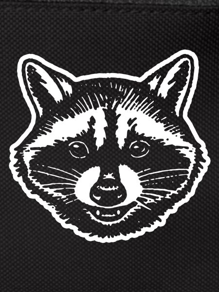 Raccoon