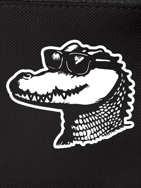 Crocodile Alligator