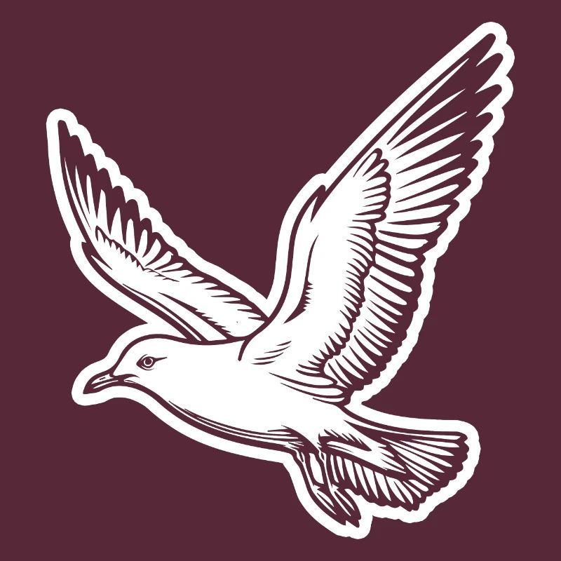 Möwe