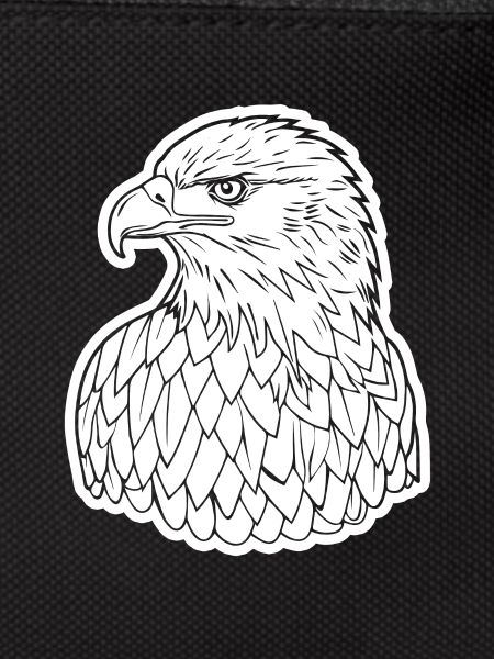 Eagle Eagle Head