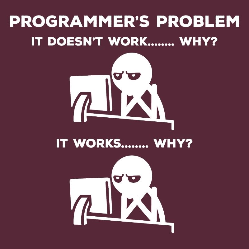 Computer Scientist Problem