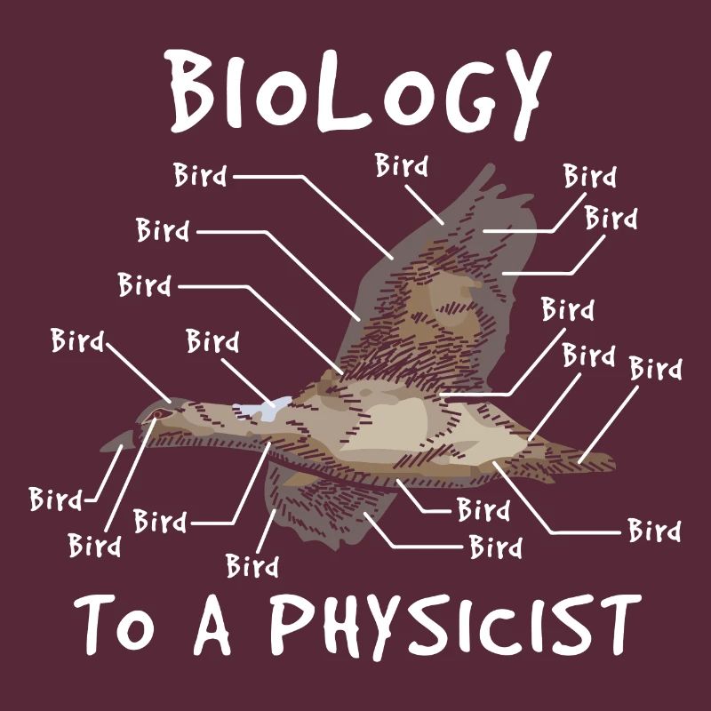 Physics expert