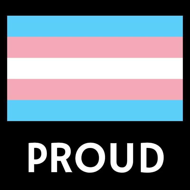 PROUD Trans-Flagge